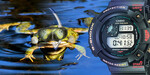 Casio Frogman sărbătorește 30 de ani - Povestea de la mormoloc la broscoiul de 30 de ani