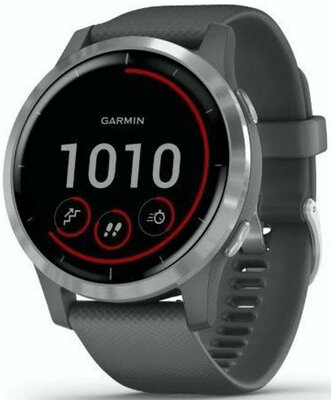 Garmin Vivoactive 4 Silver/Gray Band