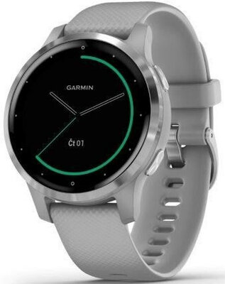 Garmin Vivoactive 4S Silver/Gray Band